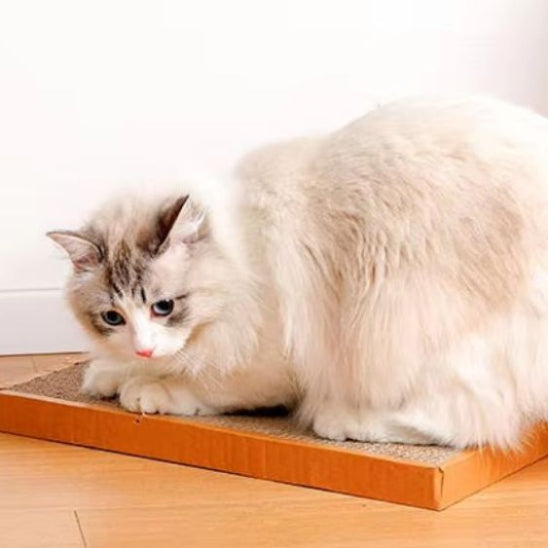 griffoir-en-carton-pour-chat-carrousel-2-tinyclaw