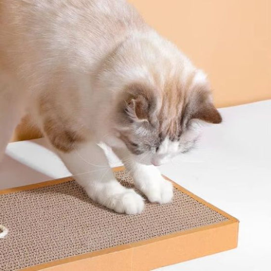 griffoir-en-carton-pour-chat-carrousel-3-tinyclaw