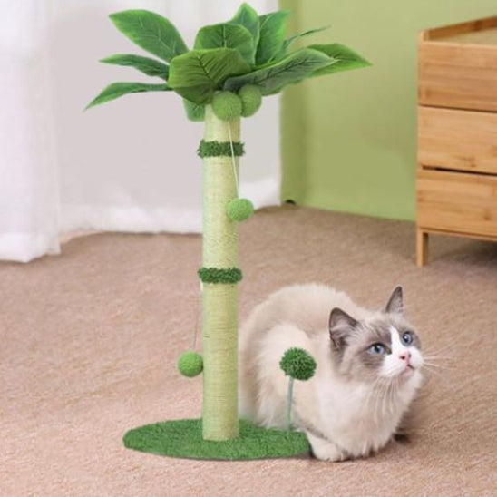 griffoir interactif tropicat