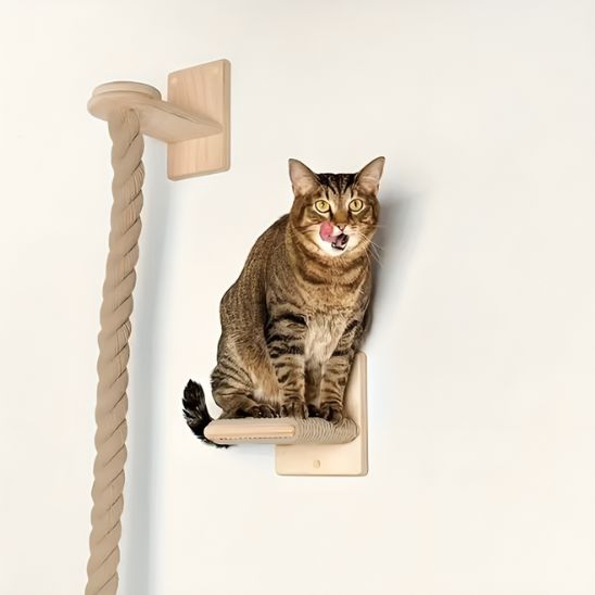 griffoir-pour-chat-carrousel-2-clawtwist