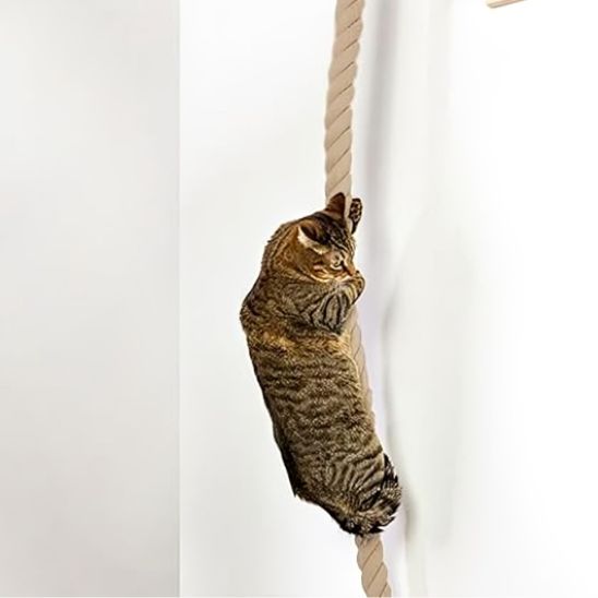griffoir-pour-chat-carrousel-3-clawtwist