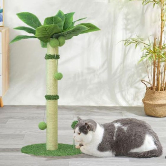 griffoir salon tropicat