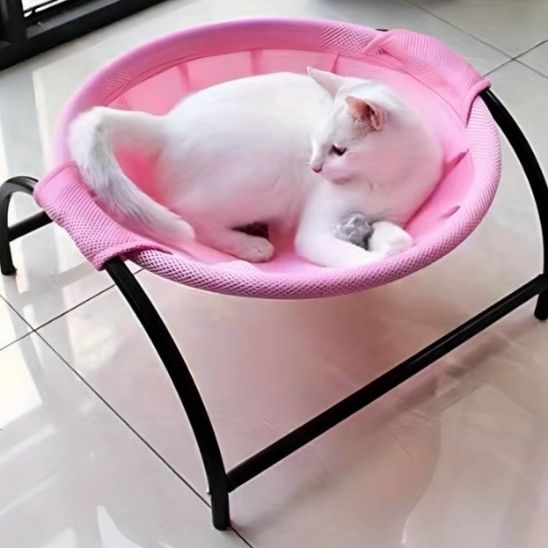 hamac-chat-rose