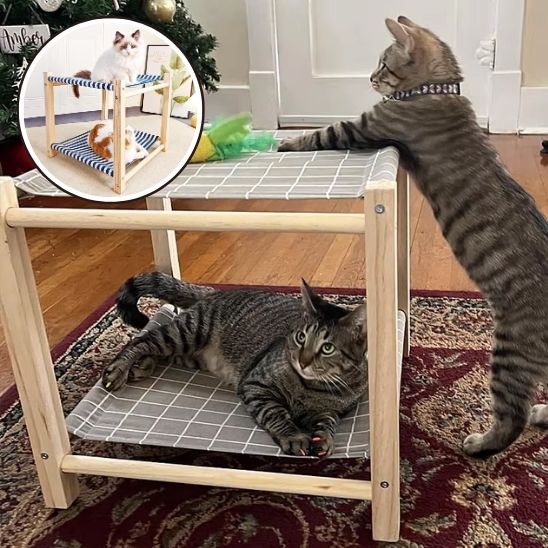 Hamac pour chat - RestUpâą - Vie de chats