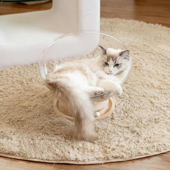lit chat confortable curvpet