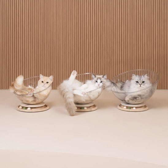 lit chat trois chats trois lits curvpet