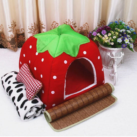 maison chat confort whiskerhut