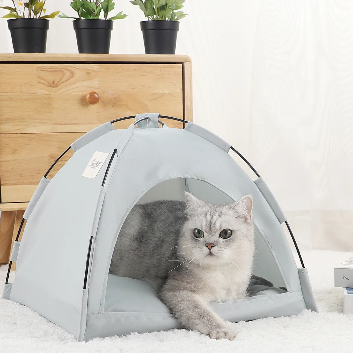 niche a chat gris purrtent