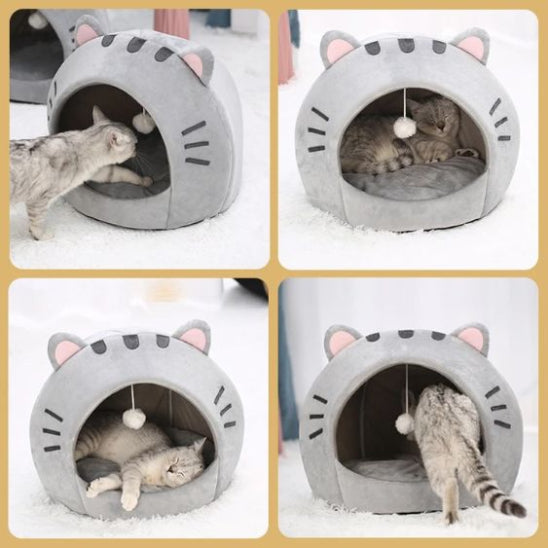 niche a chat positions whiskerden
