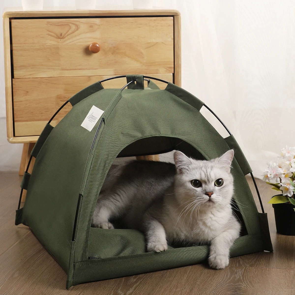 niche a chat vert purrtent