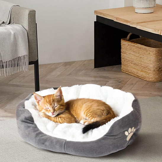 panier chat chat qui dort napcat