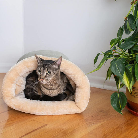 panier chat gris pale purrvana