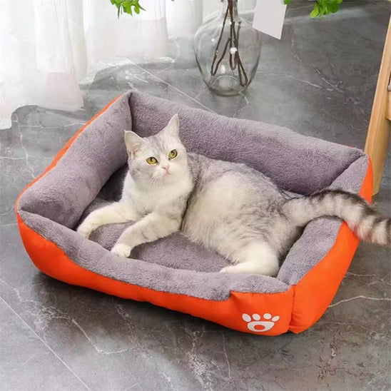 panier chat orange snoozycat