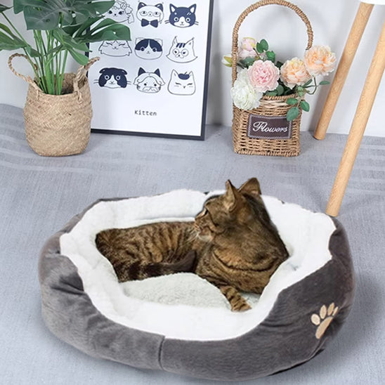 panier chat salon napcat