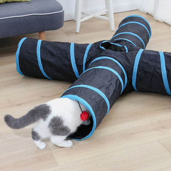 tunnel chat cachette whiskerway