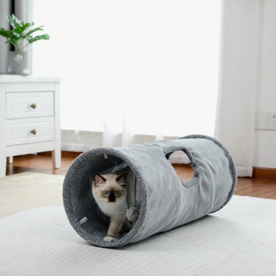 tunnel chat salon purrpath