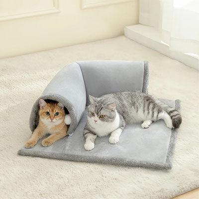 tunnel pour chat design tailtrail