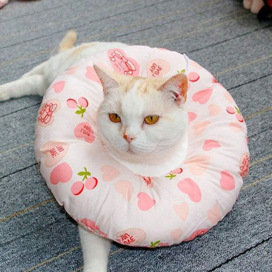 collerette-chat-blog