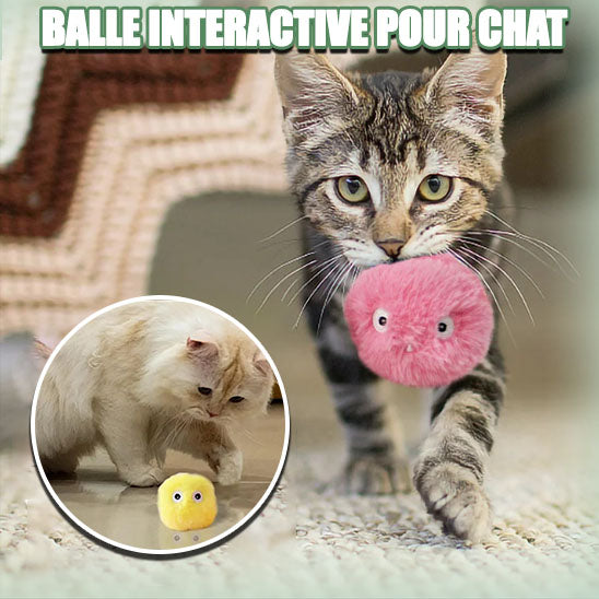 FluffyBall™ | Balle interactive pour chats