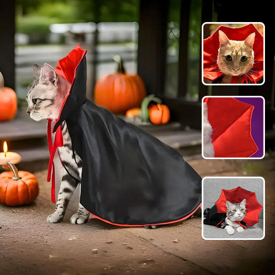 DraculaCat™ | Déguisement d'Halloween