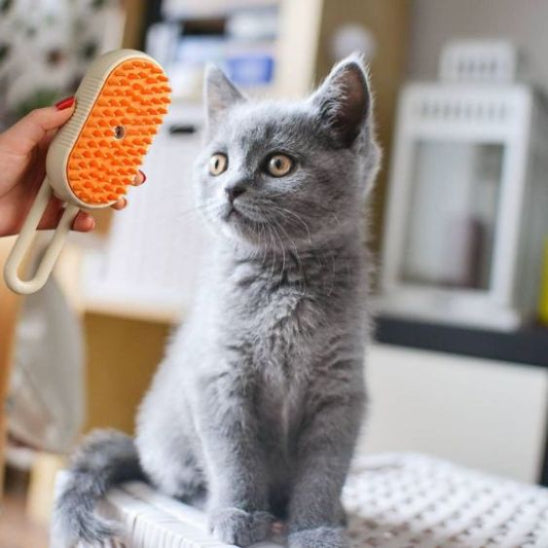 brosse-a-chat-cafe-purrmist
