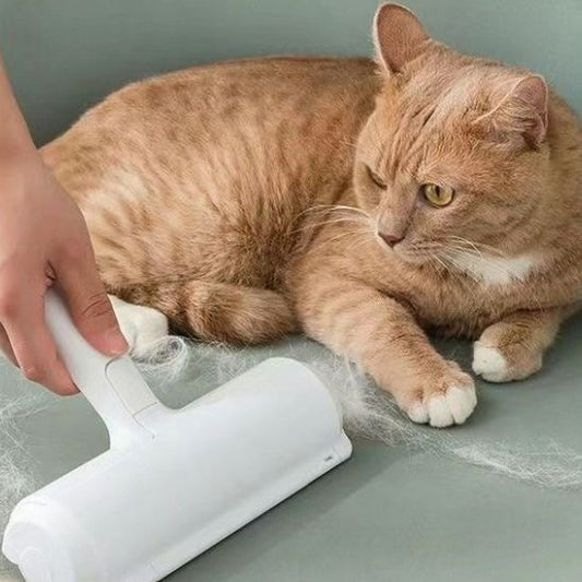 brosse-anti-poil-carrousel-1-kittyglide