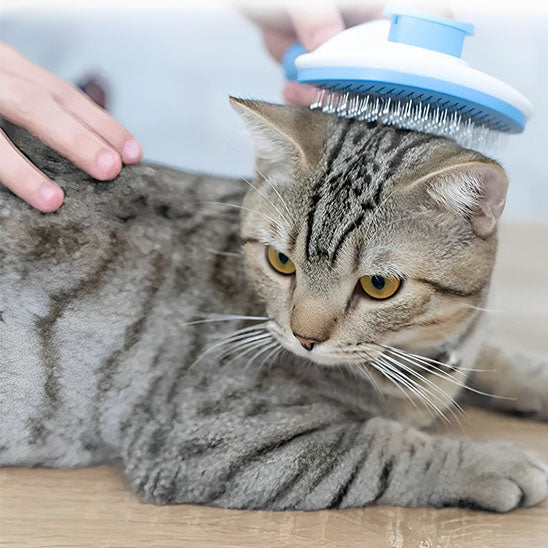 Brosse chat - MagicHair™