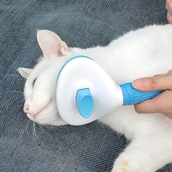 brosse-chat-bleu-magichair