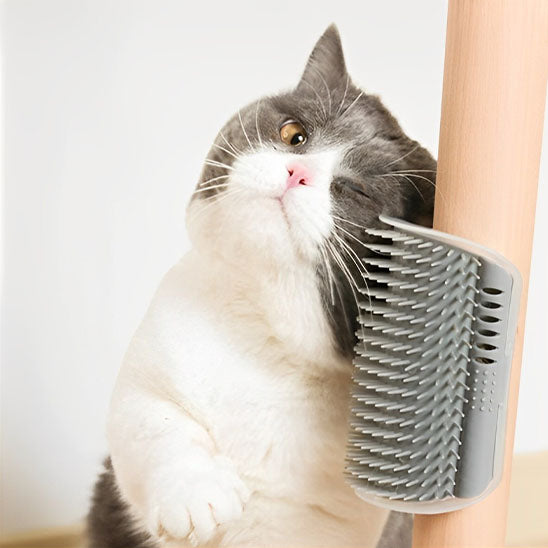 Brosse chat - EzBrush™