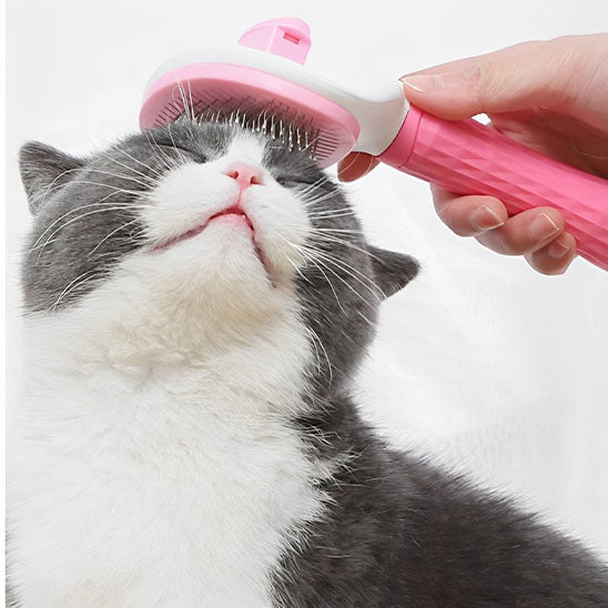 Brosse chat - MagicHair™