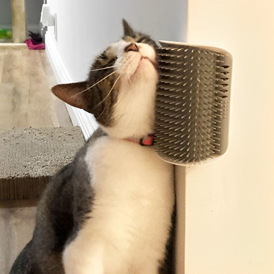 Brosse chat - EzBrush™