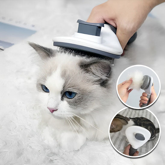 Brosse chat - MagicHair™