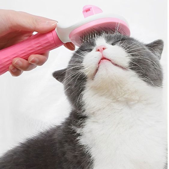 brosse-chat-rose-magichair