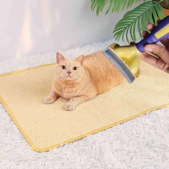 brosse-pour-chat-carrousel-1-mewgroom