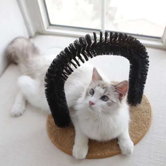 brosse-pour-chat-carrousel-1-purrbrush