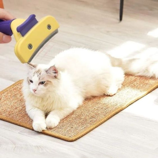 brosse-pour-chat-carrousel-2-mewgroom
