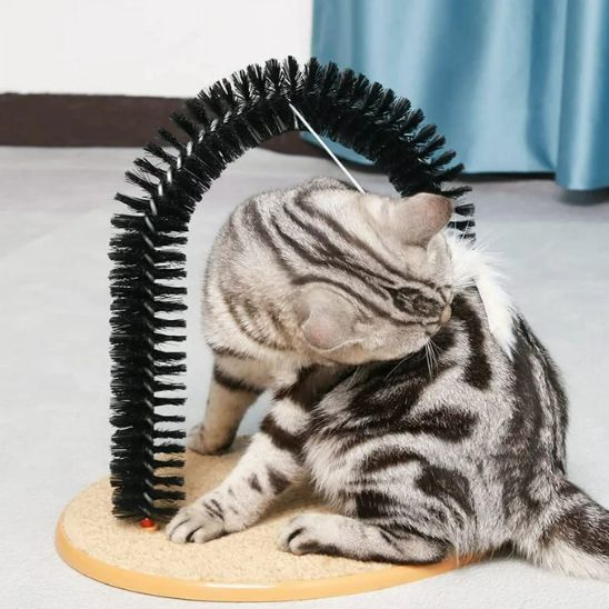 brosse-pour-chat-carrousel-2-purrbrush