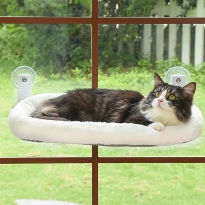 chat allonge dans hamac pour chat nappaws