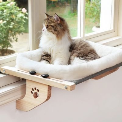 chat au poils longs qui regarde dehors dans hamac pour chat fenetre purrview