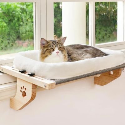 chat au regard attentif dans hamac pour chat fenetre purrview
