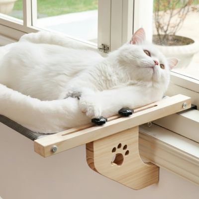 chat blanc couche dans hamac pour chat fenetre purrview