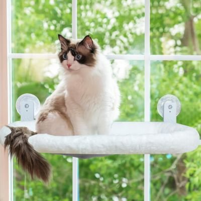 chat curieux sur hamac pour chat nappaws