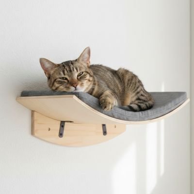 chat etendu sur hamac pour chat purrfectrest
