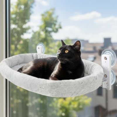chat noir dans hamac pour chat nappaws