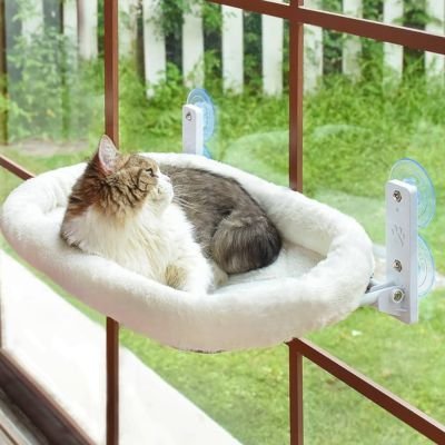 chat regardant a lexterieur dans hamac pour chat nappaws