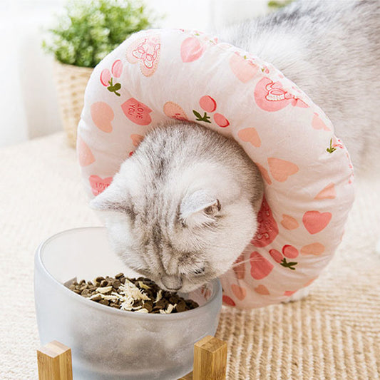 collerette-chat-douce-cerise-safepaws