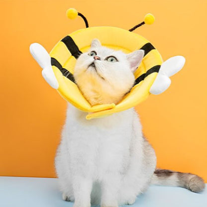collerette mignonne buzzguard