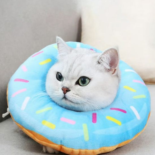 collerette pour chat vanille glacee safedonut