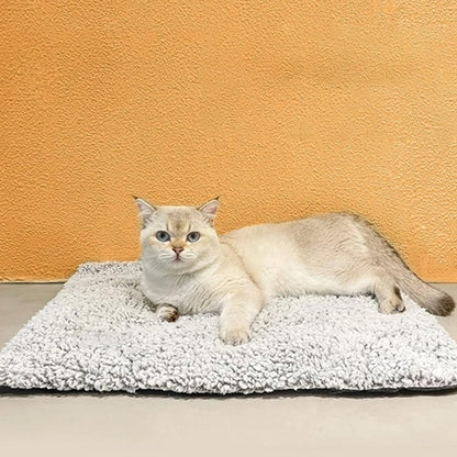 coussin a chat bien etre mewmat