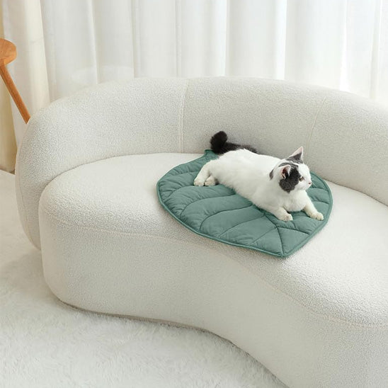 coussin a chat divan botanipaw